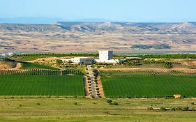 Chateau Pago De Cirsus